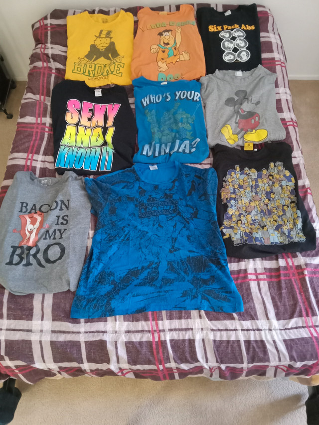 All 9 Assorted novelty t-shirts for 40$ in Other in Ottawa