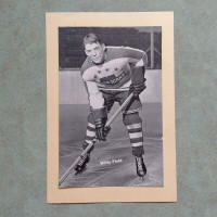 NEW YORK AMERICANS WILFY FIELD BEEHIVE HOCKEY PHOTO