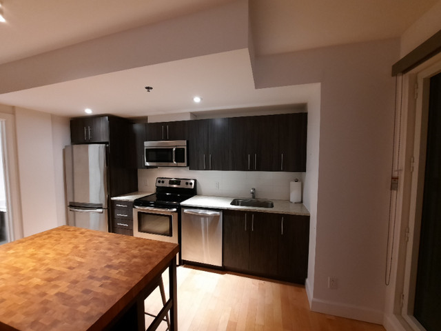 Beautiful Sunny Condo Apartment in Ville-Marie dans Locations longue durée  à Ville de Montréal - Image 2