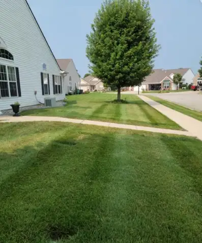 Grass Mowing408442201063434243