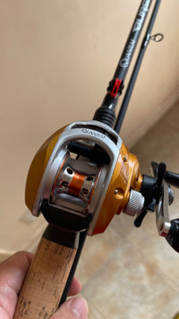 Casting fishing reel and rod combo