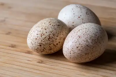 Fertilized Heritage turkey eggs The parents are a mix of white and black $3 an egg Pick up in Courtl...