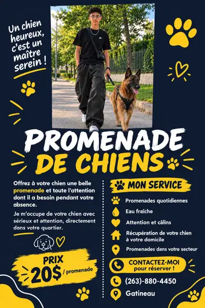 prmenade de chien, View more