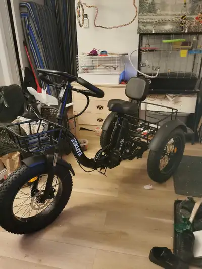 Vélo 3 Roue Eskute T300 Pro, View more