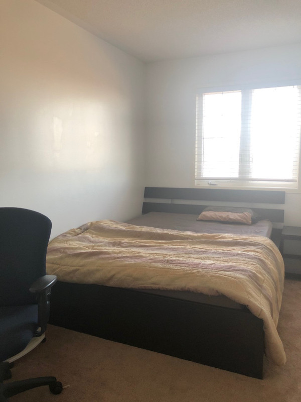 Room For Rent in Room Rentals & Roommates in Mississauga / Peel Region - Image 2