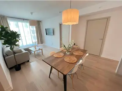 2 bed Fully Furnished July 1st occupancy Montreal Griffintown