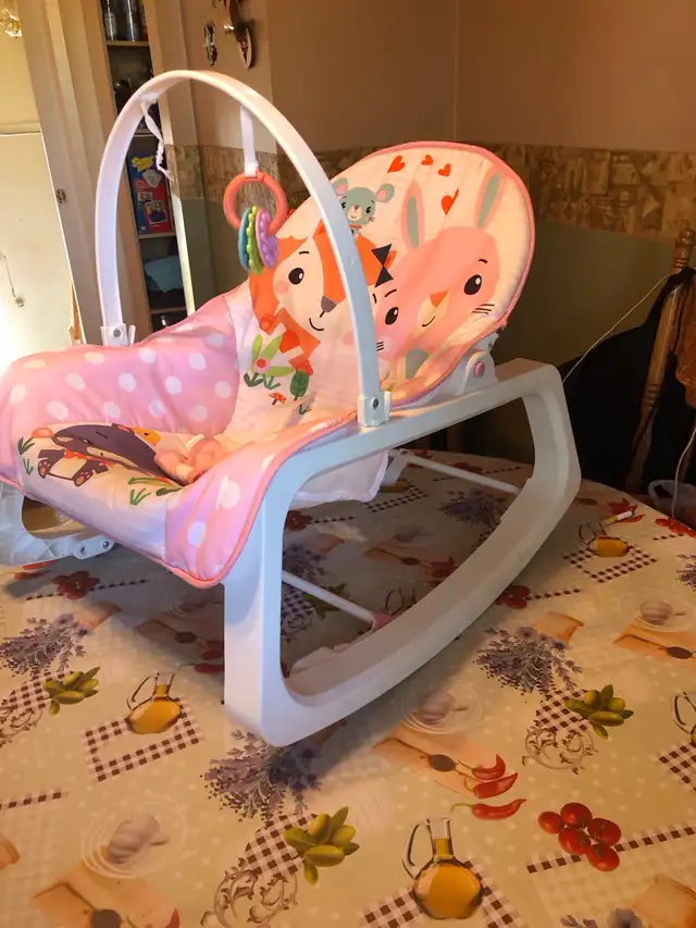 article pour bébé naissant(bassinette,siege d’auto graco, in Multi-item in Longueuil / South Shore - Image 3