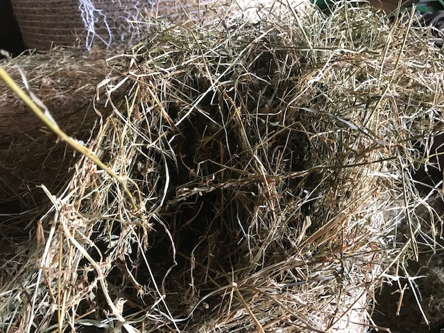 Round Bale Hay in Livestock in Charlottetown