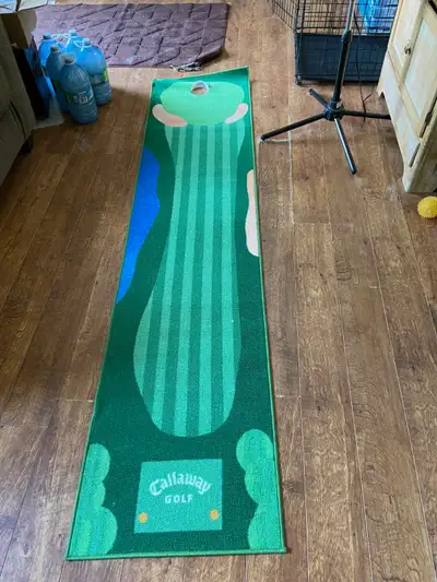 Price is firm pickup in Barrie near Eastview. These came with Warbird golf balls, they are not inclu...