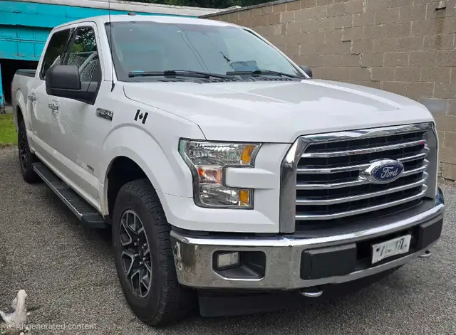 2017 F150543877731346688001