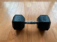 Brand new Hex Dumbbell 40Lbs