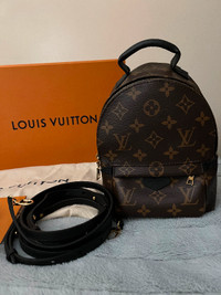 Authentic Louis Vuitton Palm Springs Mini (like new)