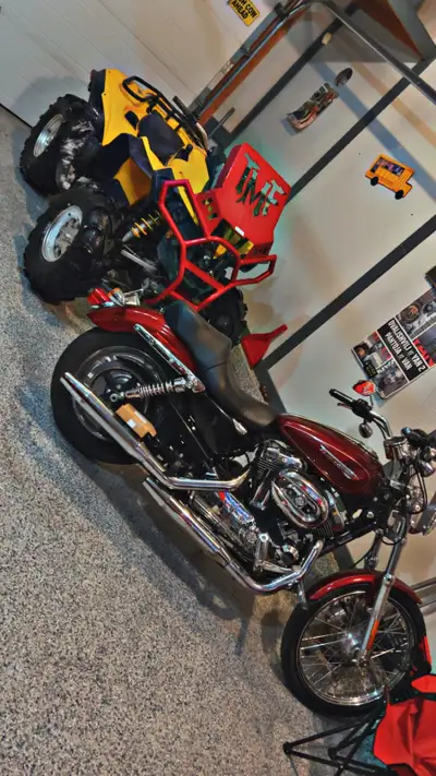 2008 renegade New motor 3 years ago (old complete motor comes with) 1000km on motor TMF soul taker G...