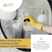 Cleaning services (20$CAD)