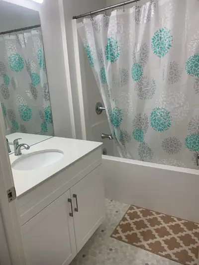Private room is available for rent at $550 including utilities. We are looking for a vegetarian girl...