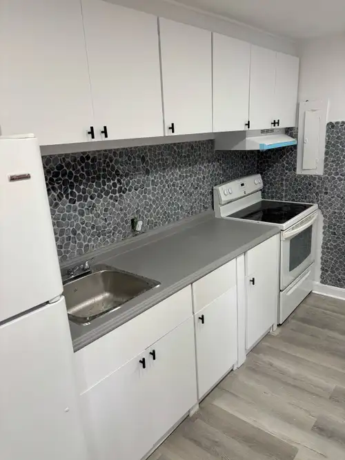 December 1st move in ready now! Newly Renovated in North Sydney Renting for December/January 1-Bedro...
