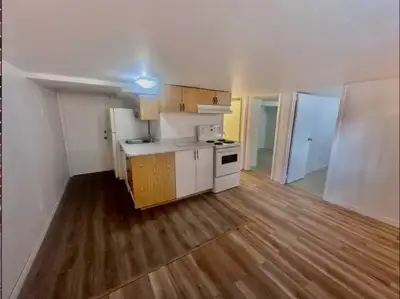 Im renting a small 2 bedroom basement unit for rent. It’s 650 square feet. 2 small bedrooms that can...