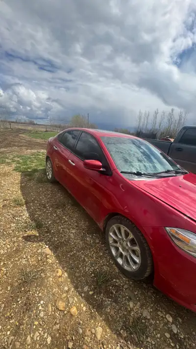 Really nice looking car inside and out has had a new timing belt put on it and a new alternator as w...