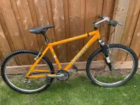 Specialized Stumpjumper mountain bike 