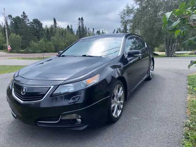 Acura TL Elite - Extremely Clean & Well Maintained