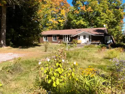 A House & Guest Cabin Your Family Will Love - Space for Everyone! Discover this sunny and versatile...