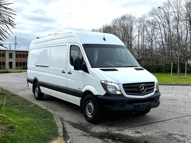 Man with a van