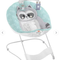 Fisher-Price Baby Raccoon See & Soothe Deluxe Baby Bouncer