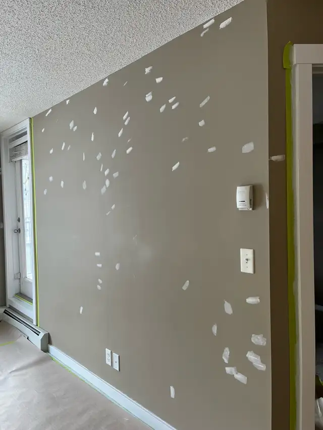 Handyman & Home Renovation Services553848912405473284