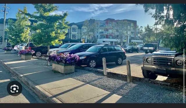 Wanted: parking near lees avenue