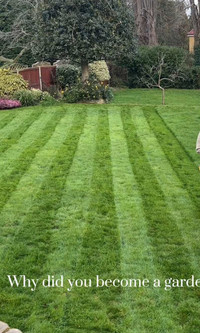 Landscaping services grass cutting yard cleaning 