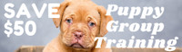 $50 OFF in-home Puppy training 
