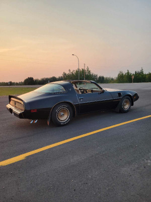 1981 Pontiac Trans Am Y84 Special Edition 
