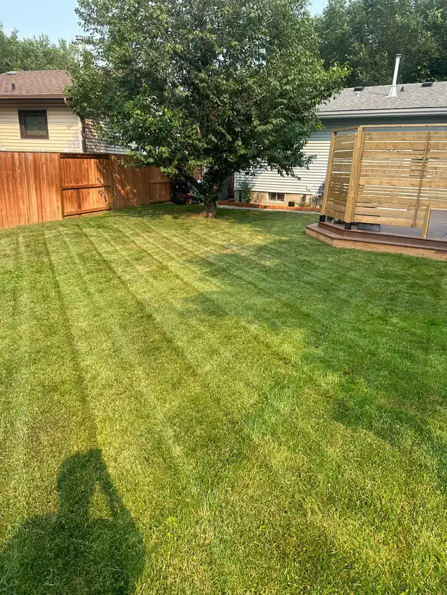 $20 Lawn Mowing & $60 Gutter Cleaning Services 63008304634497121