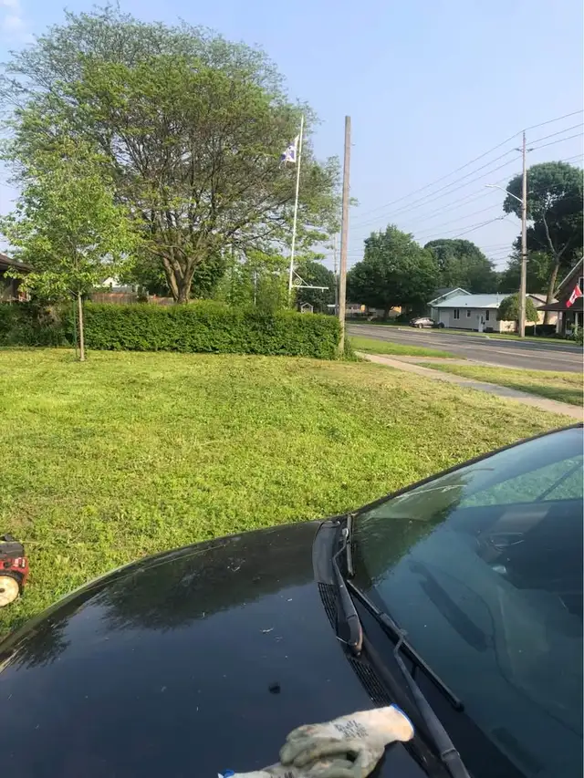  Lawn Care & Garden Services – Peterborough & Area 62863736128899122