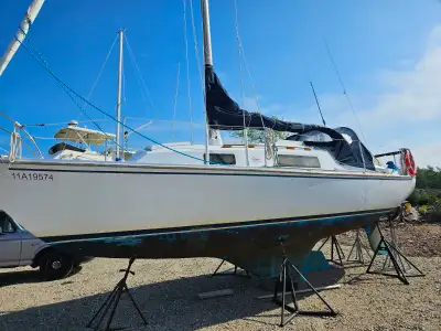 29ft paceship. 9.9 outboard. Full electronics. Extra sail.
