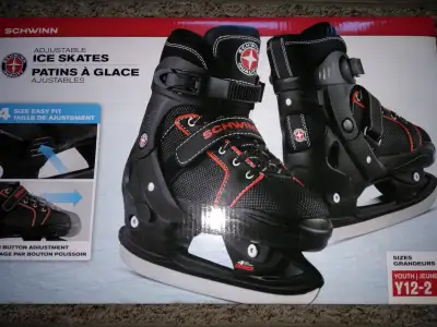 Youth Skates (includes Elite Pro-Skate Guards), View more