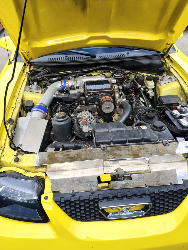 Supercharged Mustang GT in Classic Cars in Oakville / Halton Region - Image 3