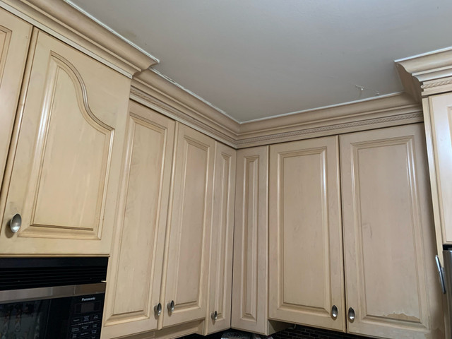 Kitchen Cabinets  in Cabinets & Countertops in Cambridge - Image 4