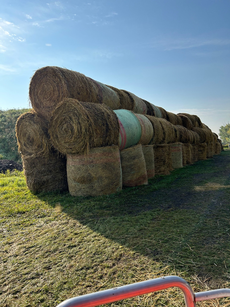 Hay for sale ! Other Edmonton Kijiji