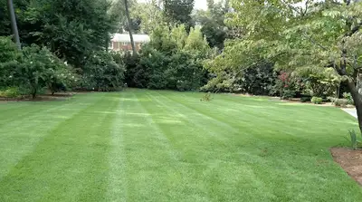lawn care, View more