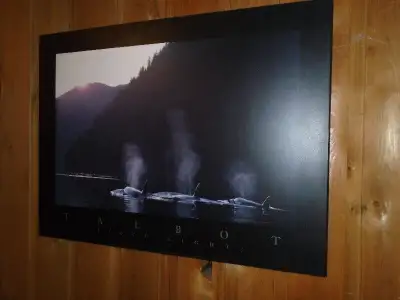 "PREMIÈRE LUMIÈRE" (1990) par Bob Talbot (photographe de mammifères marins) estampe d'art laminée. (...