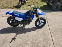 For Sale 2020 Yamaha PW50 with Training Wheels