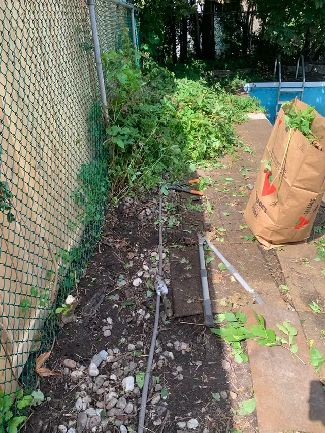 Westboro Yard Work561546765052170244