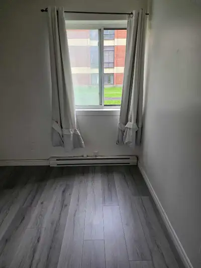 581 849 7968 immédiatement nourriture pas inclus animaux grandeur 11 pied × 11 pied 4 pouce 1 chat P...