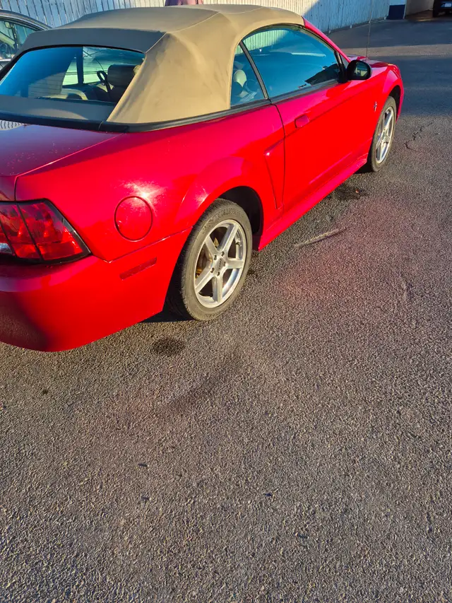 2000 mustang convertible in Cars & Trucks in Lethbridge - Image 7