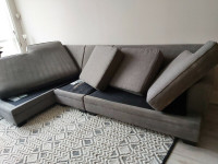 sofa- carpet steam clean
