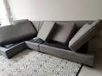 sofa- carpet steam clean