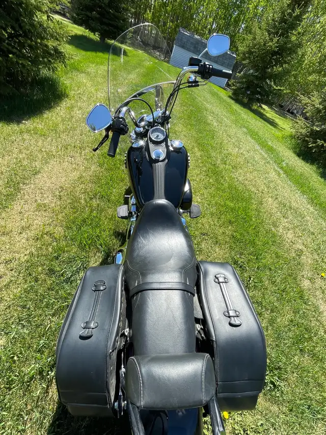 2013 Harley Davidson Street Bob in Street, Cruisers & Choppers in Edmonton - Image 4