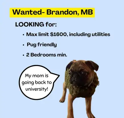 Looking to move in the spring. Looking for 2 bedroom house or apartment. Need pet friendly, we have...