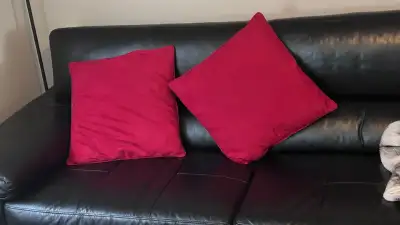 2pcs brand new red pillow only for $15 see photo pickup only. Please do not send message about "if i...